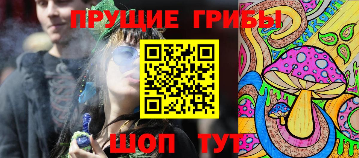 Псилоцибиновые грибы GOLDEN TEACHER  Псилоцибиновые грибы Psilocybine cubensis  Балабаново  Вход с VPN 