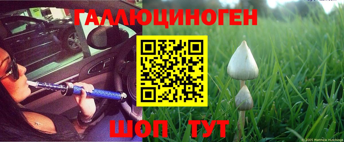 Псилоцибиновые грибы мухоморы Балабаново